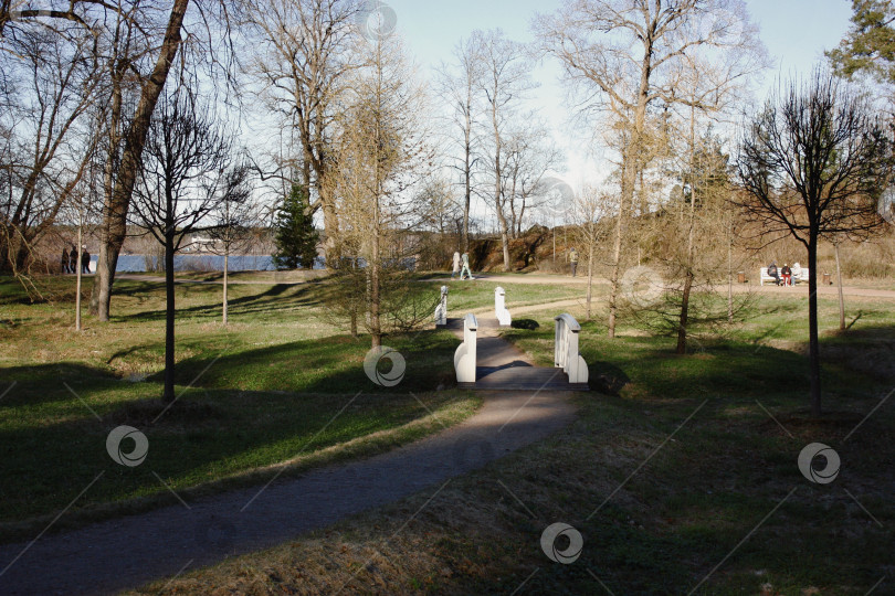 Скачать Мост в парке Монрепо фотосток Ozero