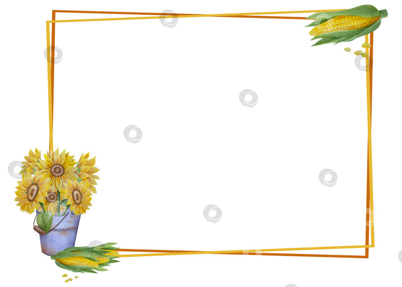 Скачать Коллекция осенних элементов. Осенние композиции с тыквами, кленовыми листьями, подсолнухом, рожью. Акварельная иллюстрация дня благодарения за урожай. Иллюстрации ручной росписи для дизайна, полиграфии, Хэллоуина, дня благодарения, социальных сетей. фотосток Ozero