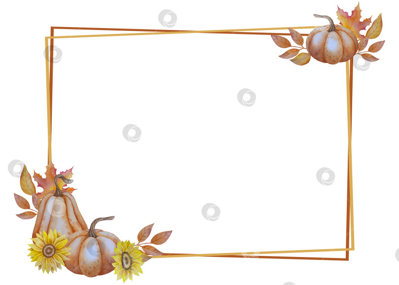 Скачать Коллекция осенних элементов. Осенние композиции с тыквами, кленовыми листьями, подсолнухом, рожью. Акварельная иллюстрация дня благодарения за урожай. Иллюстрации ручной росписи для дизайна, полиграфии, Хэллоуина, дня благодарения, социальных сетей. фотосток Ozero