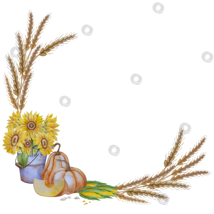 Скачать Коллекция осенних элементов. Осенние композиции с тыквами, кленовыми листьями, подсолнухом, рожью. Акварельная иллюстрация дня благодарения за урожай. Иллюстрации ручной росписи для дизайна, полиграфии, Хэллоуина, дня благодарения, социальных сетей. фотосток Ozero