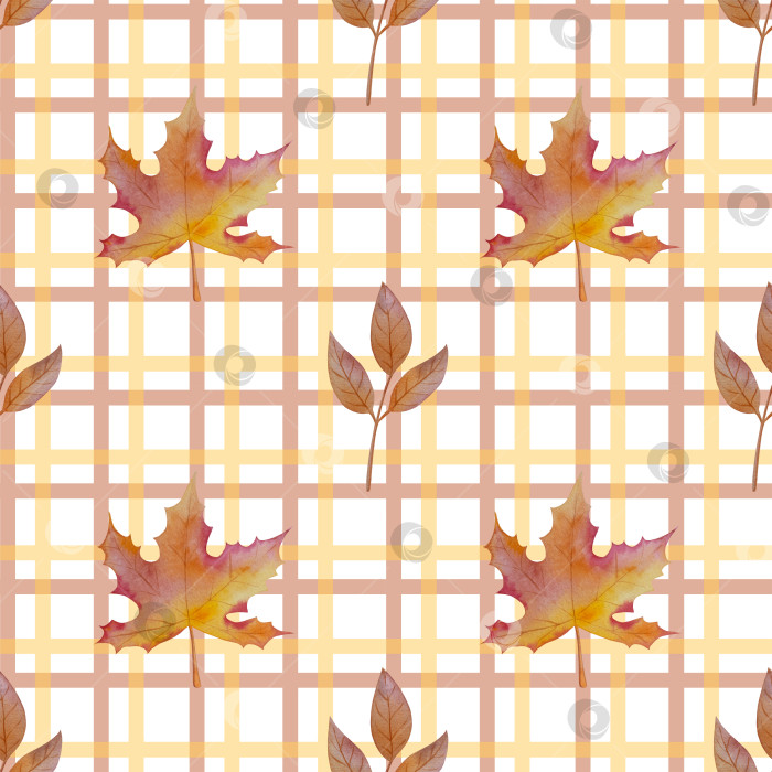 Скачать Коллекция осенних элементов. Осенние композиции с тыквами, кленовыми листьями, подсолнухом, рожью. Акварельная иллюстрация дня благодарения за урожай. Иллюстрации ручной росписи для дизайна, полиграфии, Хэллоуина, дня благодарения, социальных сетей. фотосток Ozero