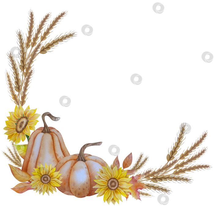 Скачать Коллекция осенних элементов. Осенние композиции с тыквами, кленовыми листьями, подсолнухом, рожью. Акварельная иллюстрация дня благодарения за урожай. Иллюстрации ручной росписи для дизайна, полиграфии, Хэллоуина, дня благодарения, социальных сетей. фотосток Ozero