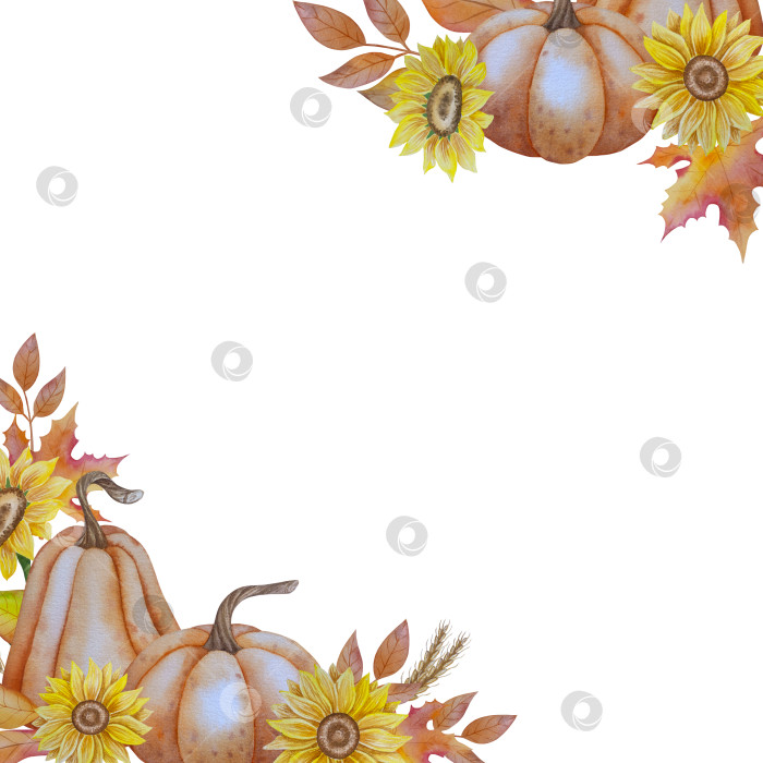 Скачать Коллекция осенних элементов. Осенние композиции с тыквами, кленовыми листьями, подсолнухом, рожью. Акварельная иллюстрация дня благодарения за урожай. Иллюстрации ручной росписи для дизайна, полиграфии, Хэллоуина, дня благодарения, социальных сетей. фотосток Ozero