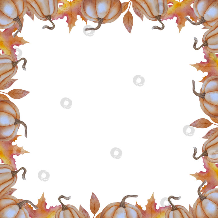 Скачать Коллекция осенних элементов. Осенние композиции с тыквами, кленовыми листьями, подсолнухом, рожью. Акварельная иллюстрация дня благодарения за урожай. Иллюстрации ручной росписи для дизайна, полиграфии, Хэллоуина, дня благодарения, социальных сетей. фотосток Ozero