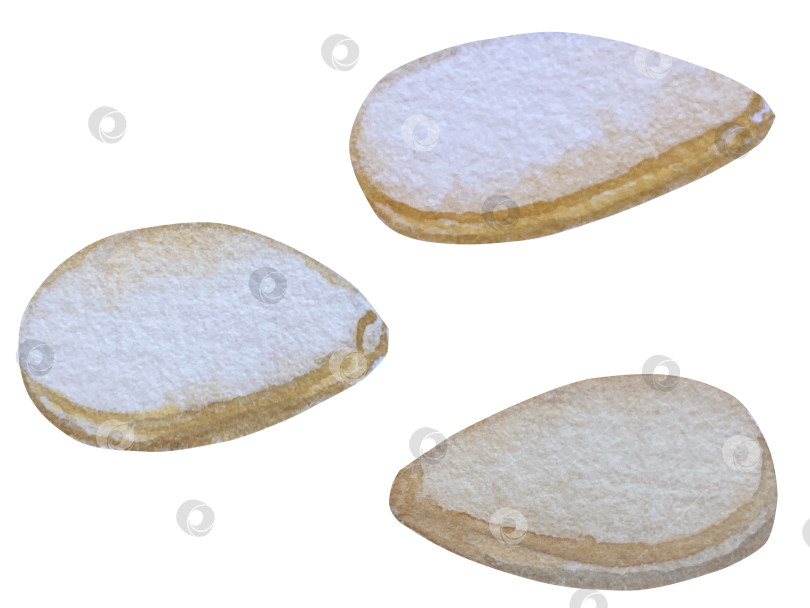 Скачать Коллекция осенних элементов. Осенние композиции с тыквами, кленовыми листьями, подсолнухом, рожью. Акварельная иллюстрация дня благодарения за урожай. Иллюстрации ручной росписи для дизайна, полиграфии, Хэллоуина, дня благодарения, социальных сетей. фотосток Ozero