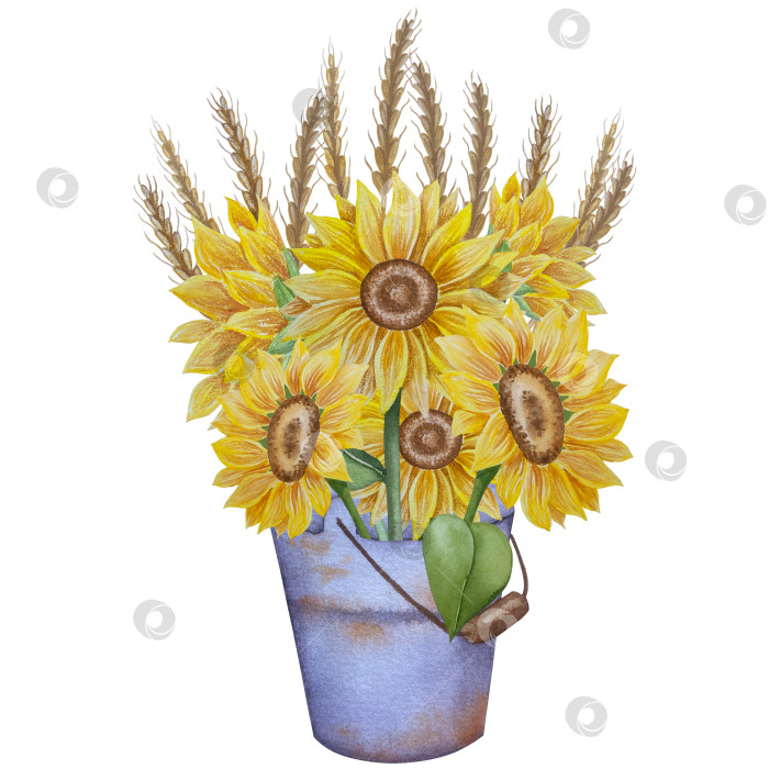 Скачать Коллекция осенних элементов. Осенние композиции с тыквами, кленовыми листьями, подсолнухом, рожью. Акварельная иллюстрация дня благодарения за урожай. Иллюстрации ручной росписи для дизайна, полиграфии, Хэллоуина, дня благодарения, социальных сетей. фотосток Ozero