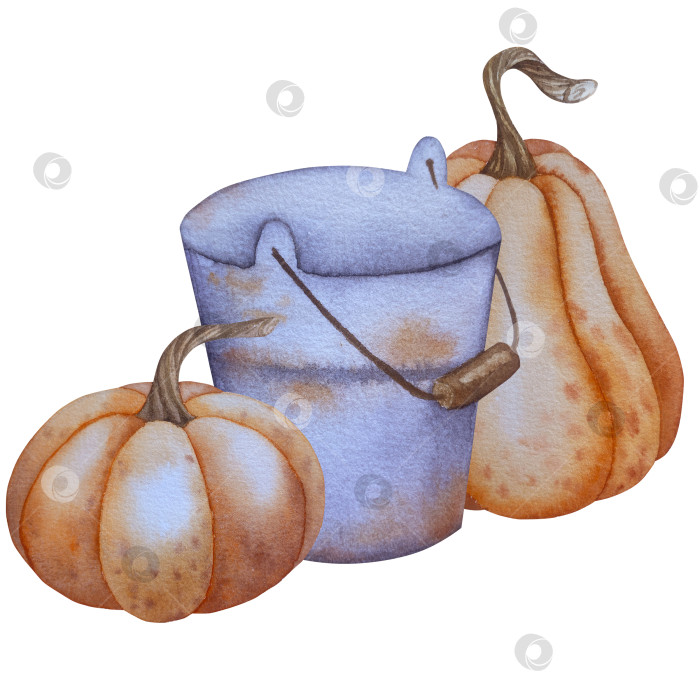 Скачать Коллекция осенних элементов. Осенние композиции с тыквами, кленовыми листьями, подсолнухом, рожью. Акварельная иллюстрация дня благодарения за урожай. Иллюстрации ручной росписи для дизайна, полиграфии, Хэллоуина, дня благодарения, социальных сетей. фотосток Ozero