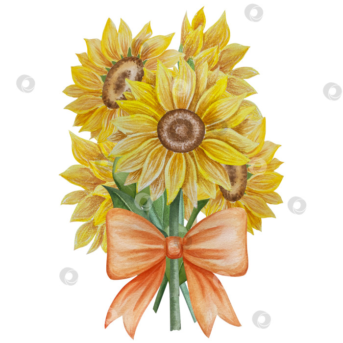 Скачать Коллекция осенних элементов. Осенние композиции с тыквами, кленовыми листьями, подсолнухом, рожью. Акварельная иллюстрация дня благодарения за урожай. Иллюстрации ручной росписи для дизайна, полиграфии, Хэллоуина, дня благодарения, социальных сетей. фотосток Ozero