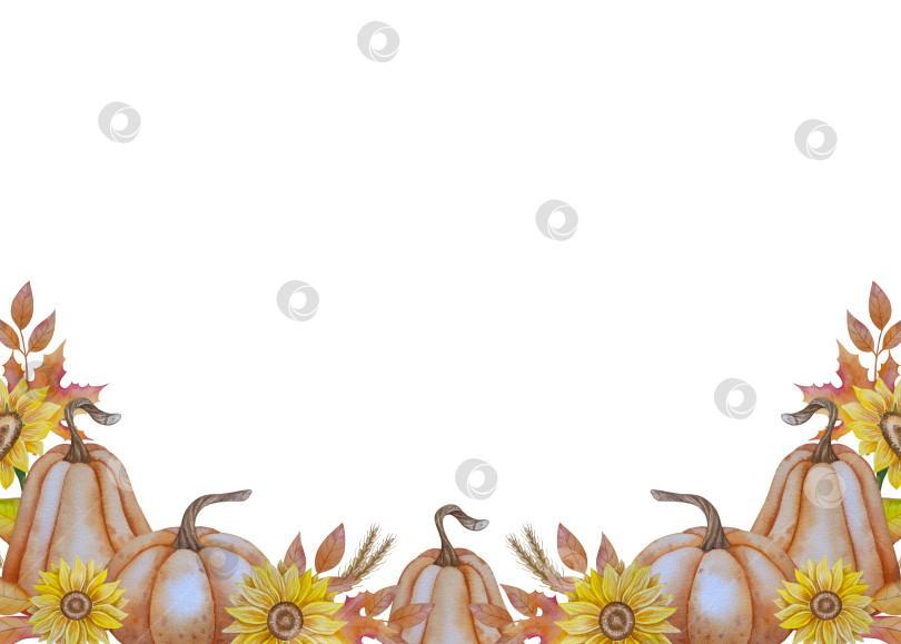 Скачать Коллекция осенних элементов. Осенние композиции с тыквами, кленовыми листьями, подсолнухом, рожью. Акварельная иллюстрация дня благодарения за урожай. Иллюстрации ручной росписи для дизайна, полиграфии, Хэллоуина, дня благодарения, социальных сетей. фотосток Ozero