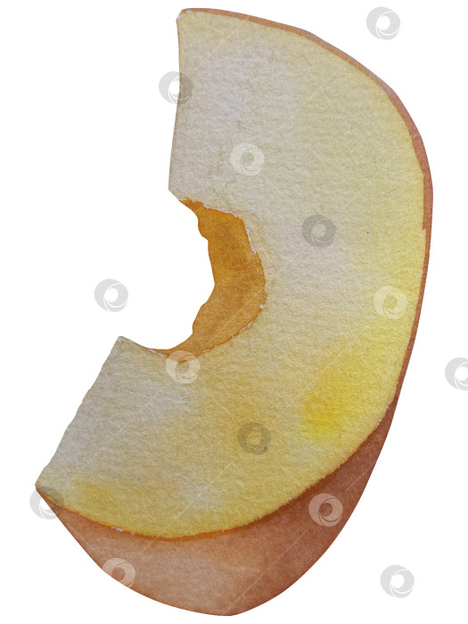 Скачать Коллекция осенних элементов. Осенние композиции с тыквами, кленовыми листьями, подсолнухом, рожью. Акварельная иллюстрация дня благодарения за урожай. Иллюстрации ручной росписи для дизайна, полиграфии, Хэллоуина, дня благодарения, социальных сетей. фотосток Ozero