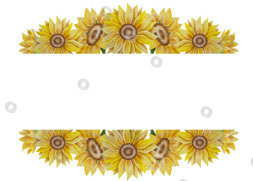 Скачать Коллекция осенних элементов. Осенние композиции с тыквами, кленовыми листьями, подсолнухом, рожью. Акварельная иллюстрация дня благодарения за урожай. Иллюстрации ручной росписи для дизайна, полиграфии, Хэллоуина, дня благодарения, социальных сетей. фотосток Ozero