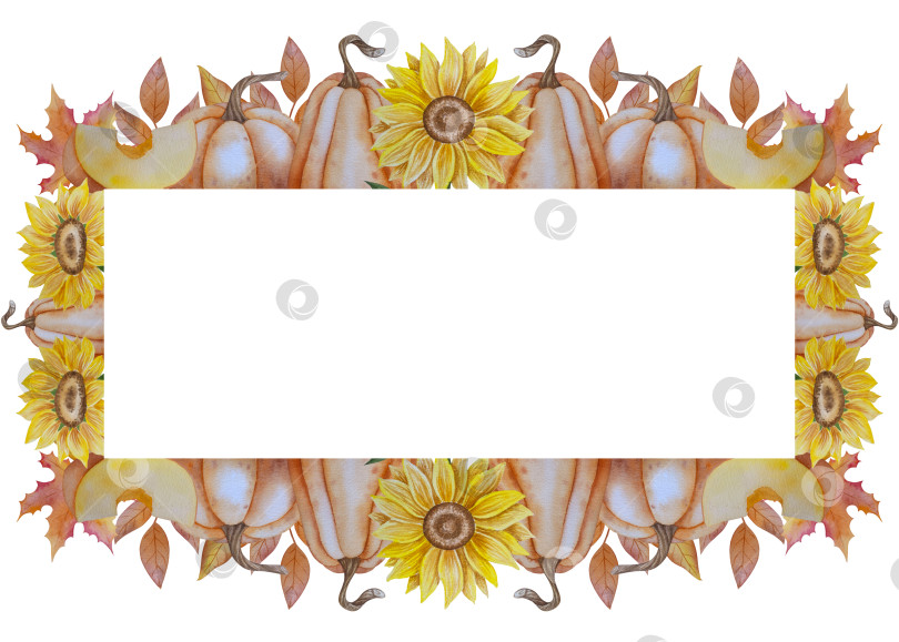 Скачать Коллекция осенних элементов. Осенние композиции с тыквами, кленовыми листьями, подсолнухом, рожью. Акварельная иллюстрация дня благодарения за урожай. Иллюстрации ручной росписи для дизайна, полиграфии, Хэллоуина, дня благодарения, социальных сетей. фотосток Ozero