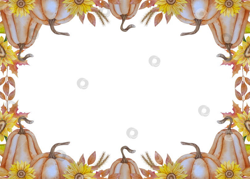 Скачать Коллекция осенних элементов. Осенние композиции с тыквами, кленовыми листьями, подсолнухом, рожью. Акварельная иллюстрация дня благодарения за урожай. Иллюстрации ручной росписи для дизайна, полиграфии, Хэллоуина, дня благодарения, социальных сетей. фотосток Ozero