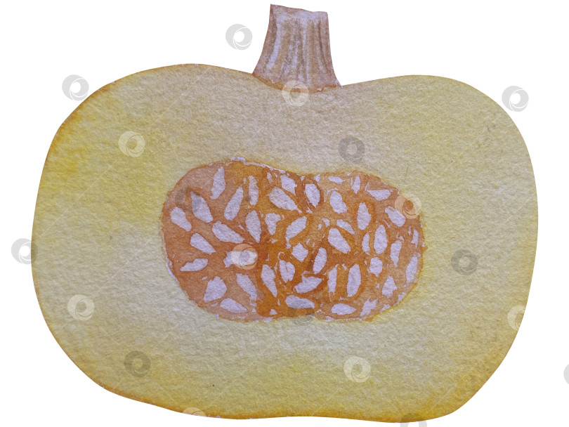 Скачать Коллекция осенних элементов. Осенние композиции с тыквами, кленовыми листьями, подсолнухом, рожью. Акварельная иллюстрация дня благодарения за урожай. Иллюстрации ручной росписи для дизайна, полиграфии, Хэллоуина, дня благодарения, социальных сетей. фотосток Ozero