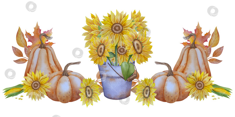 Скачать Коллекция осенних элементов. Осенние композиции с тыквами, кленовыми листьями, подсолнухом, рожью. Акварельная иллюстрация дня благодарения за урожай. Иллюстрации ручной росписи для дизайна, полиграфии, Хэллоуина, дня благодарения, социальных сетей. фотосток Ozero
