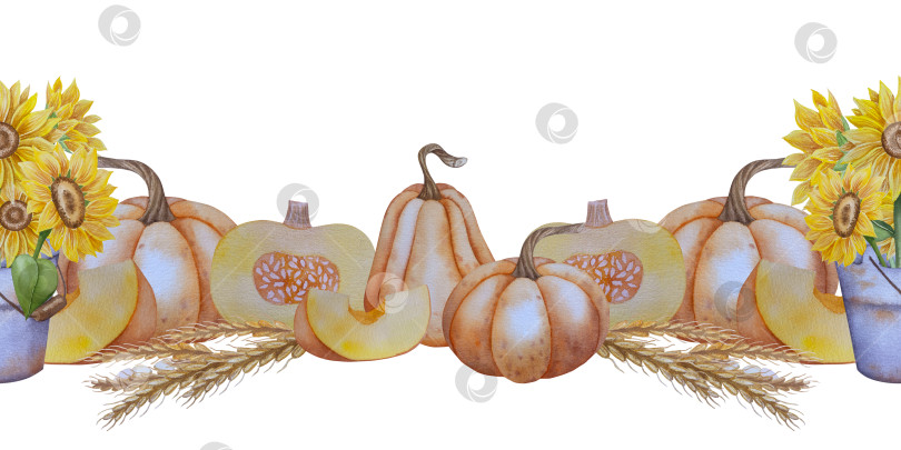 Скачать Коллекция осенних элементов. Осенние композиции с тыквами, кленовыми листьями, подсолнухом, рожью. Акварельная иллюстрация дня благодарения за урожай. Иллюстрации ручной росписи для дизайна, полиграфии, Хэллоуина, дня благодарения, социальных сетей. фотосток Ozero