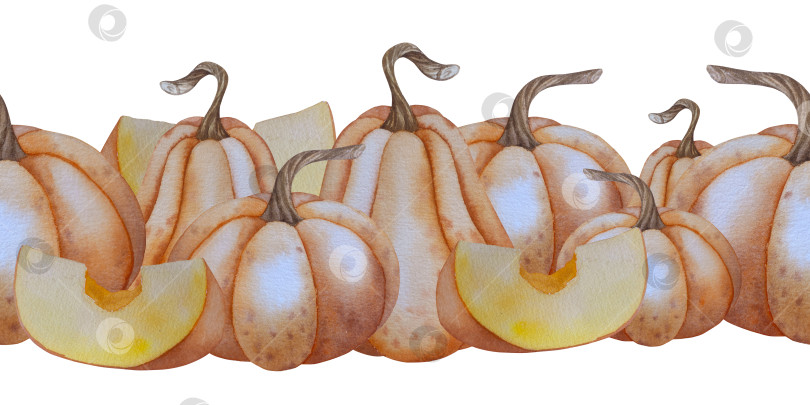 Скачать Коллекция осенних элементов. Осенние композиции с тыквами, кленовыми листьями, подсолнухом, рожью. Акварельная иллюстрация дня благодарения за урожай. Иллюстрации ручной росписи для дизайна, полиграфии, Хэллоуина, дня благодарения, социальных сетей. фотосток Ozero