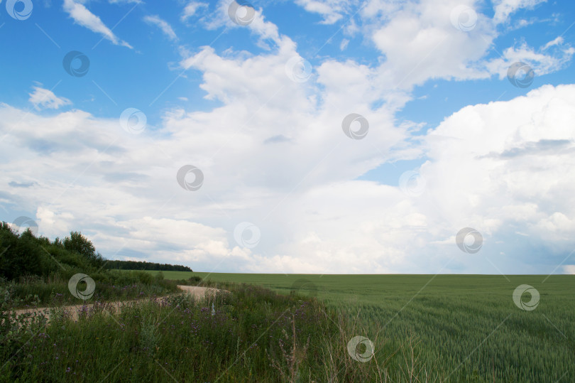 Скачать Поле и сельская дорога фотосток Ozero