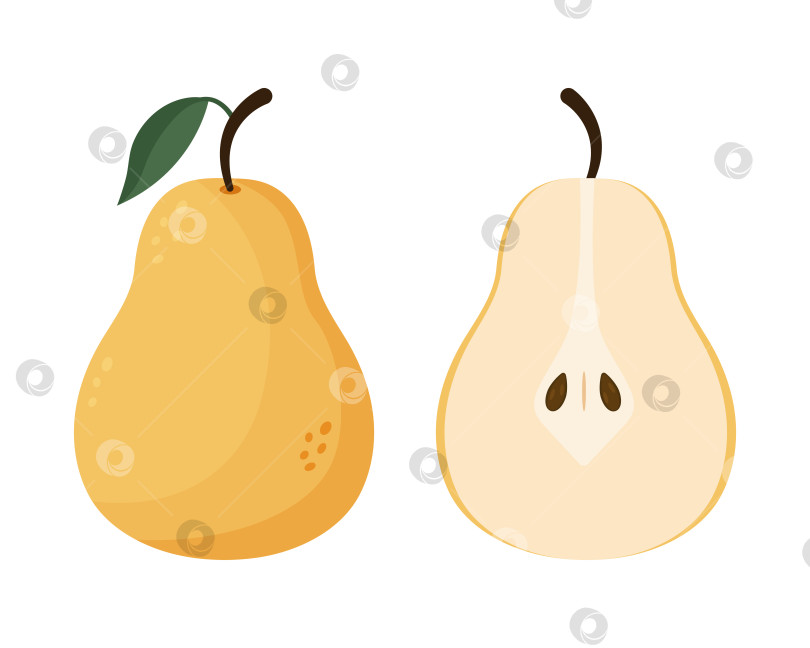 Скачать Свежая желтая груша и иллюстрация половинки груши в плоском стиле. фотосток Ozero