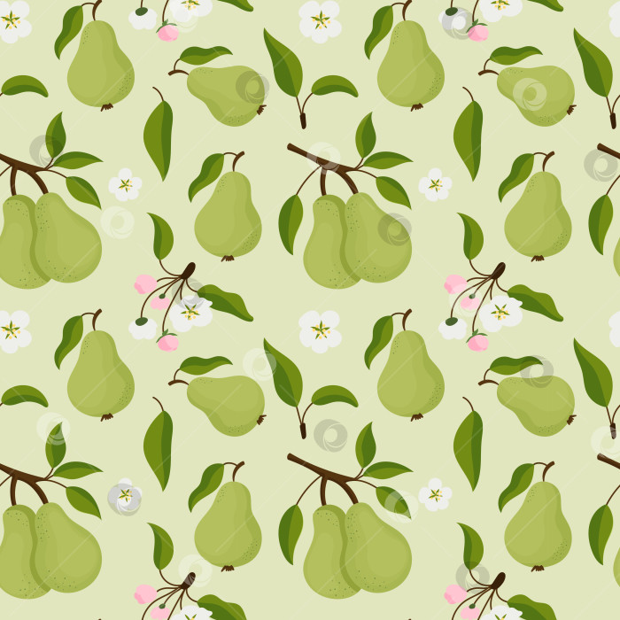 Скачать Симпатичный бесшовный узор из зеленой груши с цветами, фотосток Ozero