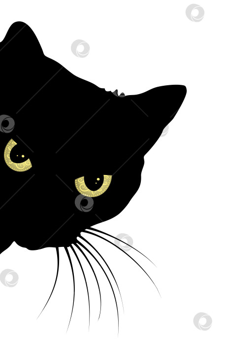 Скачать Хищный черный кот. фотосток Ozero