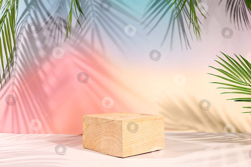 Скачать Пустой подиум премиум-класса с тенями тропических пальмовых листьев на залитой солнцем стене, минималистичный абстрактный фон для презентации косметической продукции, шаблон дизайна и подиум на пьедестале. фотосток Ozero