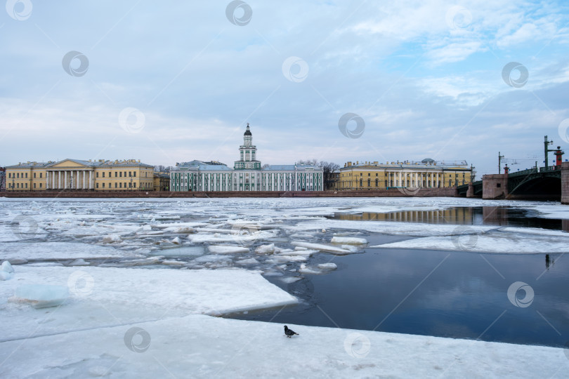 Скачать Санкт-Петербург, Россия - 9 марта 2026 года. Вид на Кунсткамеру и Неву зимой. фотосток Ozero