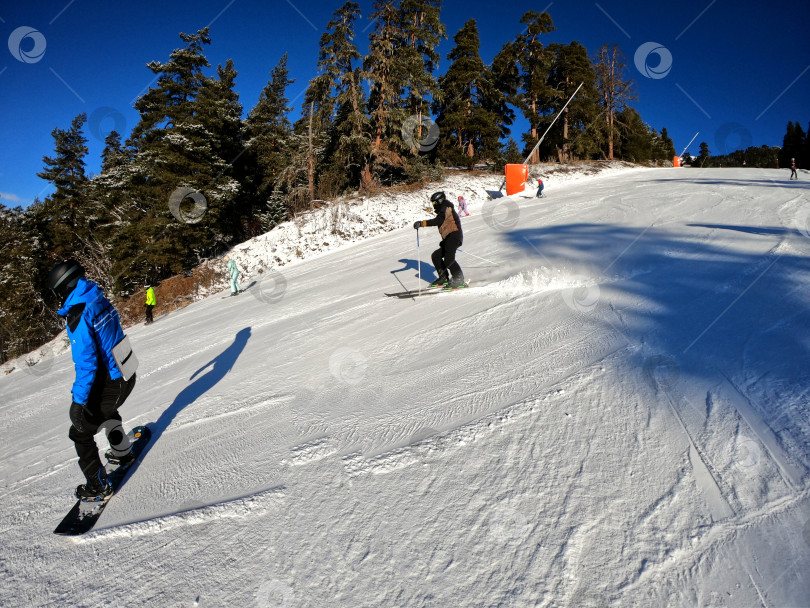 Скачать Спуск синего уровня на горнолыжном курорте Архыз. Зимний солнечный день. фотосток Ozero