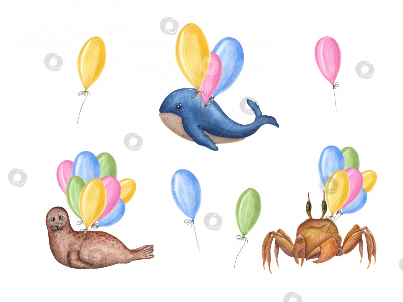 Скачать Акварельный морской набор с милым китом, морским котиком, крабом и воздушными шарами, изолированными на белом фоне. Идеально подходит для детского текстиля, обоев, оформления детской комнаты, дизайна открыток, украшения на день рождения фотосток Ozero