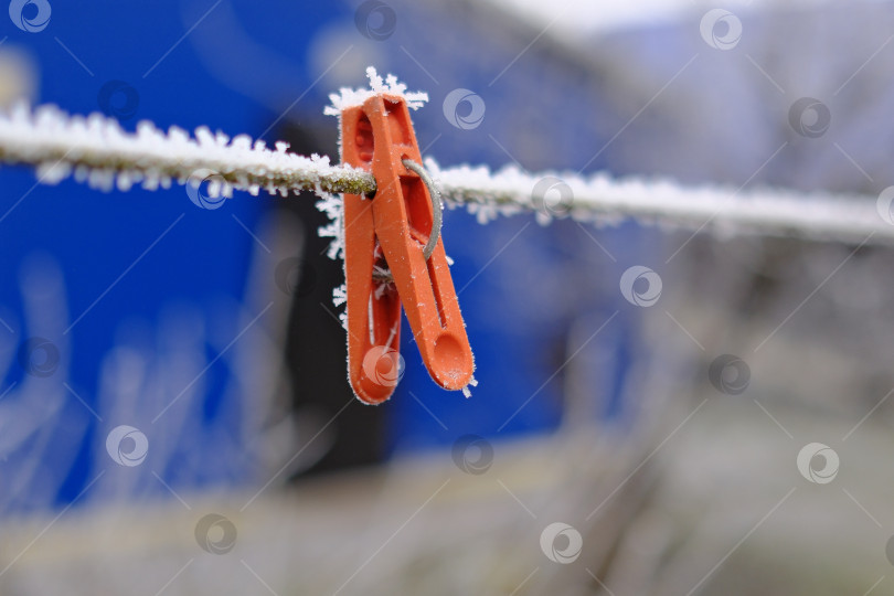 Скачать Замороженная бельевая прищепка. Иней в кристаллах. Причудливые кристаллы льда, созданные минусовой температурой и влажностью воздуха. фотосток Ozero