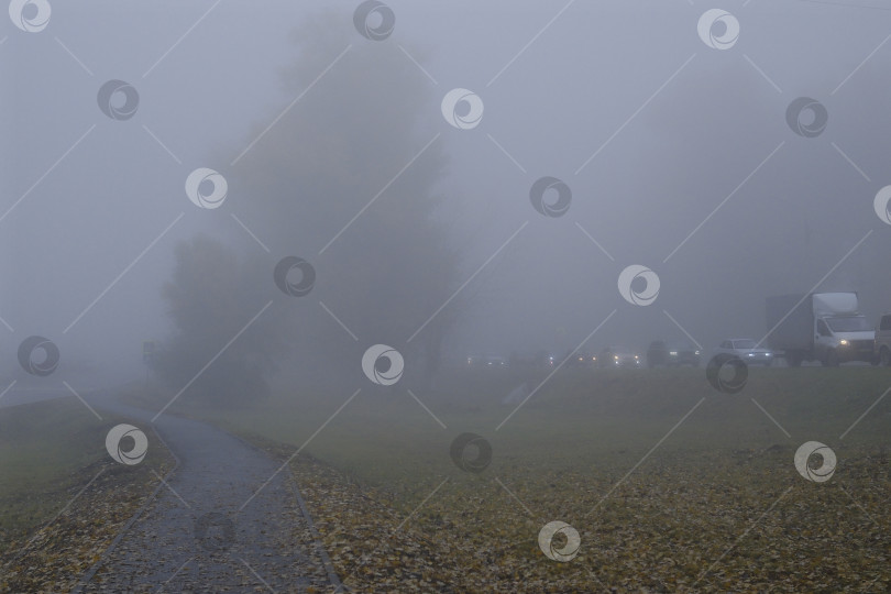 Скачать Движение по дорогам общего пользования в условиях ограниченной видимости. Туман. фотосток Ozero