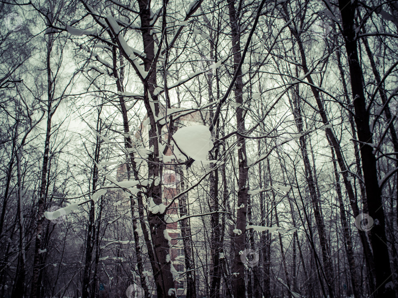 Скачать Дорожка в глубоком снегу в парке фотосток Ozero