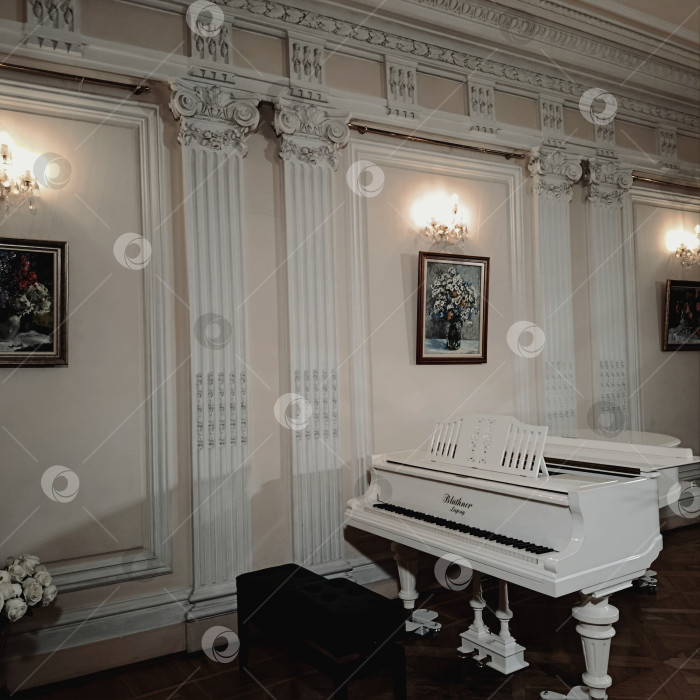 Скачать Красивый рояль в комнате фотосток Ozero