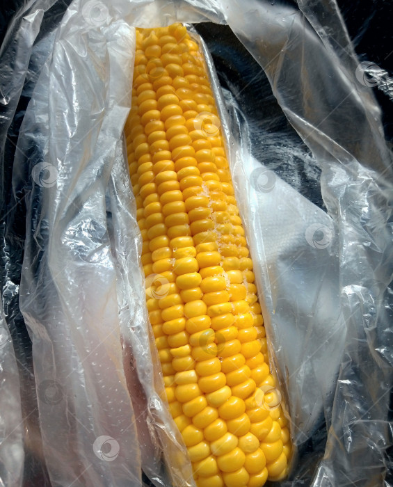 Скачать Вареная кукуруза в пакете фотосток Ozero