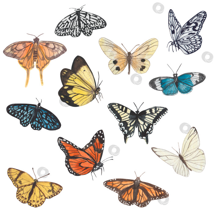 Скачать Разноцветные акварельные бабочки на белом фоне. Весенние иллюстрации с изображением бабочек желтого, оранжевого и других цветов. Подходит для обложек, фонов, рекламы и т.д фотосток Ozero