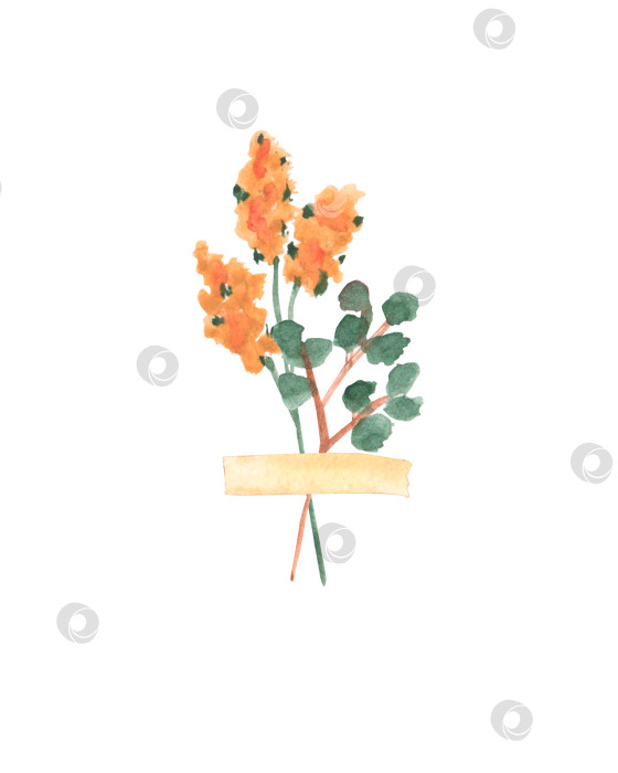 Скачать Акварельный изолированный набор из конверта с сургучной печатью, писем, листа бумаги и ... Другие элементы для надписей и постинга. Набор клипартов, выделенных на белом фоне фотосток Ozero