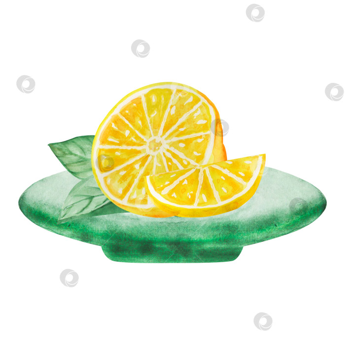 Скачать Набор акварельных иллюстраций с лимонами, листьями и цветами в виде веток. Простые картинки с цитрусовыми фруктами для лета. фотосток Ozero