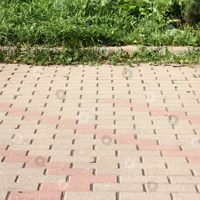 Скачать Дорожка из каменной брусчатки Рядом с зеленой травой фотосток Ozero