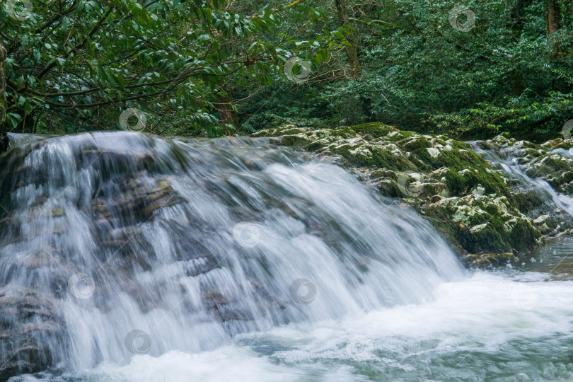 Скачать Красивый водопад в лесу. Фотография с длительной выдержкой и размытием в движении. фотосток Ozero