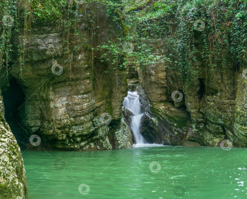 Скачать водопад в густом лесу природного парка фотосток Ozero