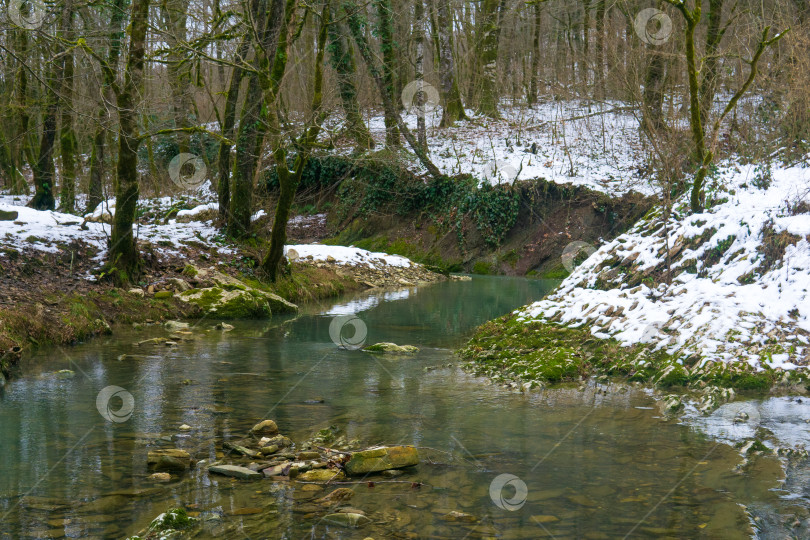 Скачать Зимний пейзаж с небольшой речкой посреди леса. фотосток Ozero