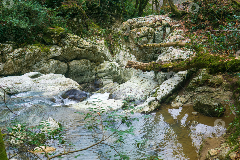 Скачать Водопад в лесу, вид сверху фотосток Ozero