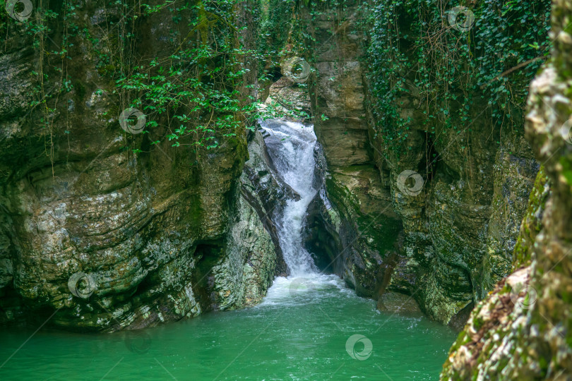 Скачать Водопад в горном лесу. Природный фон. фотосток Ozero