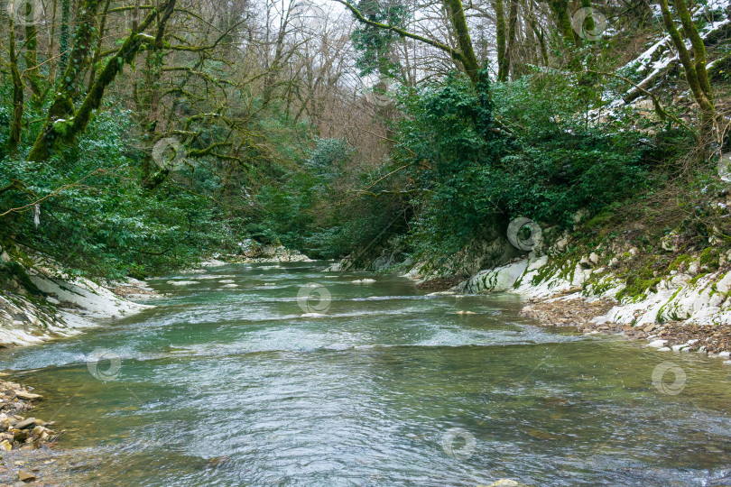 Скачать Река в лесу. Зимний пейзаж с рекой в лесу. фотосток Ozero