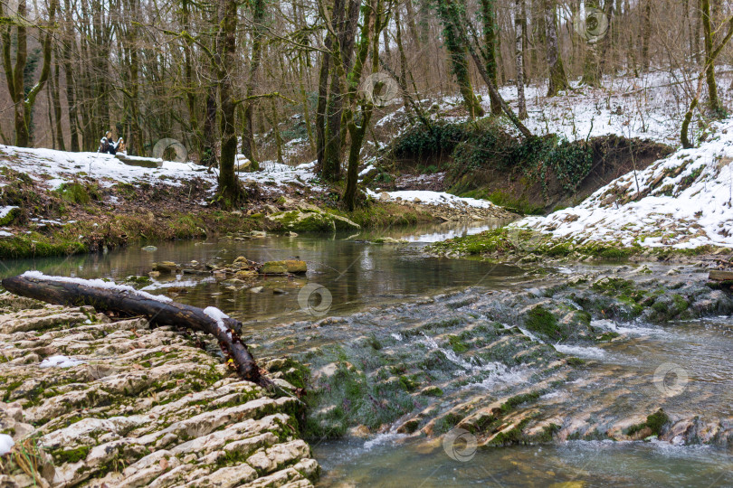 Скачать Зимний пейзаж с небольшой речкой и поваленным деревом на переднем плане фотосток Ozero