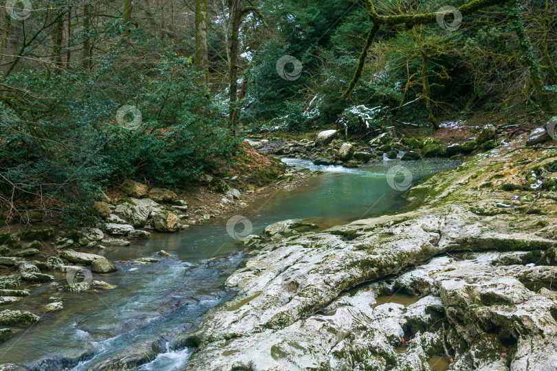 Скачать Река в горном лесу со скалами и деревьями на заднем плане зимой фотосток Ozero
