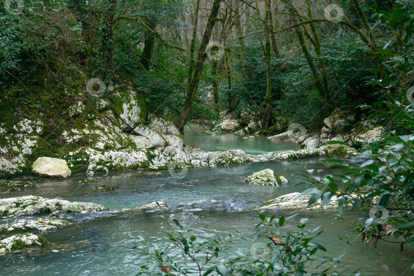 Скачать Горная река в лесу. фотосток Ozero