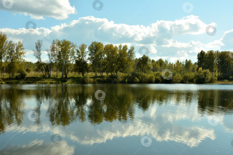 Скачать Отражения деревьев и кучевых облаков на спокойной поверхности прекрасного озера солнечным летним вечером. фотосток Ozero