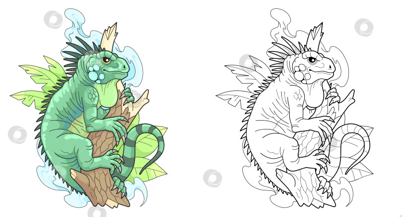 Скачать Игуана фотосток Ozero