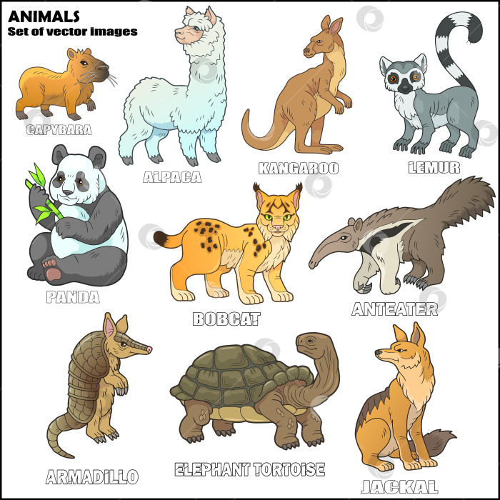 Скачать Дикие животные фотосток Ozero